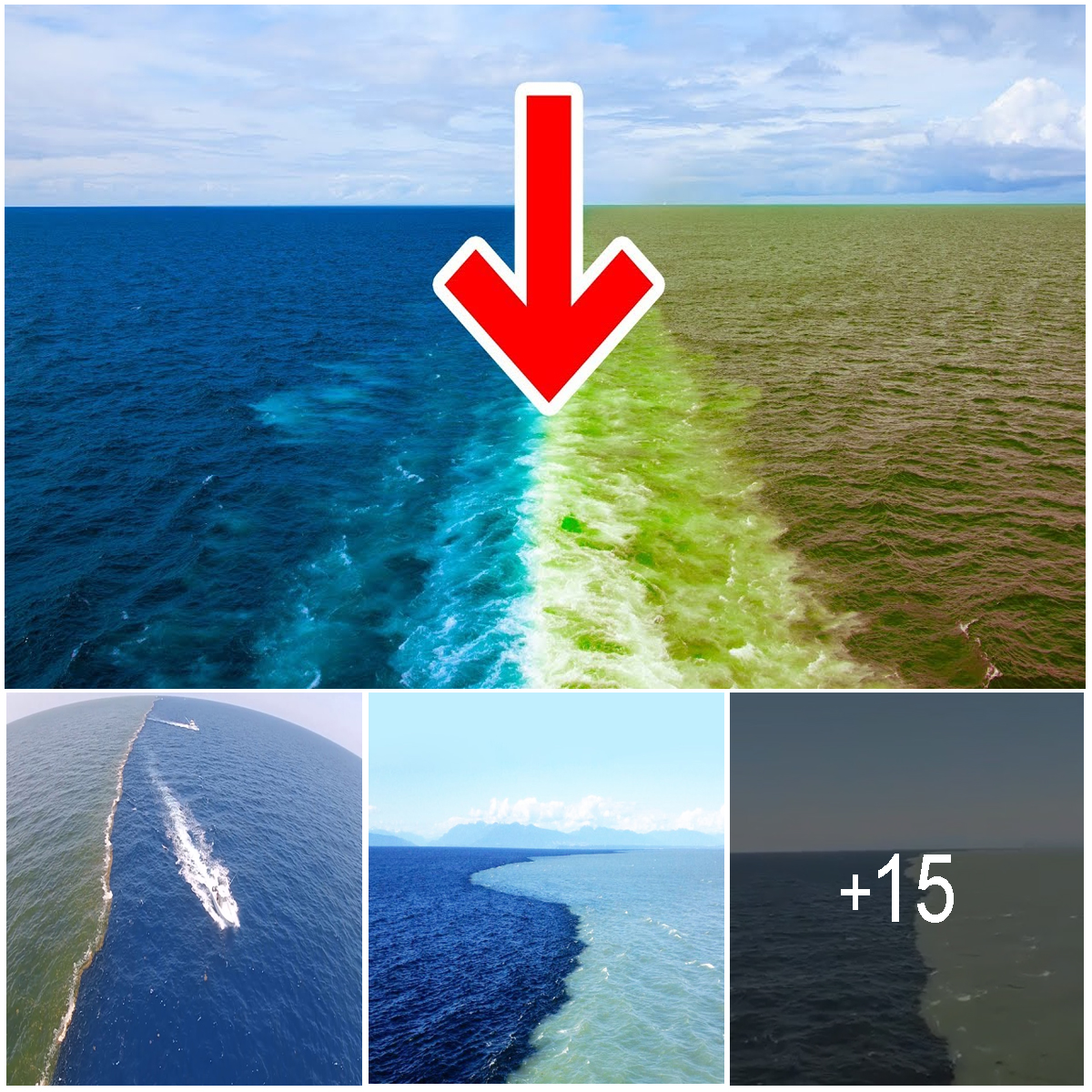 Why Atlantic And Pacific Ocean Never Mix The Enigmatic Divide: Why the Atlantic and Pacific Oceans Don't Mix