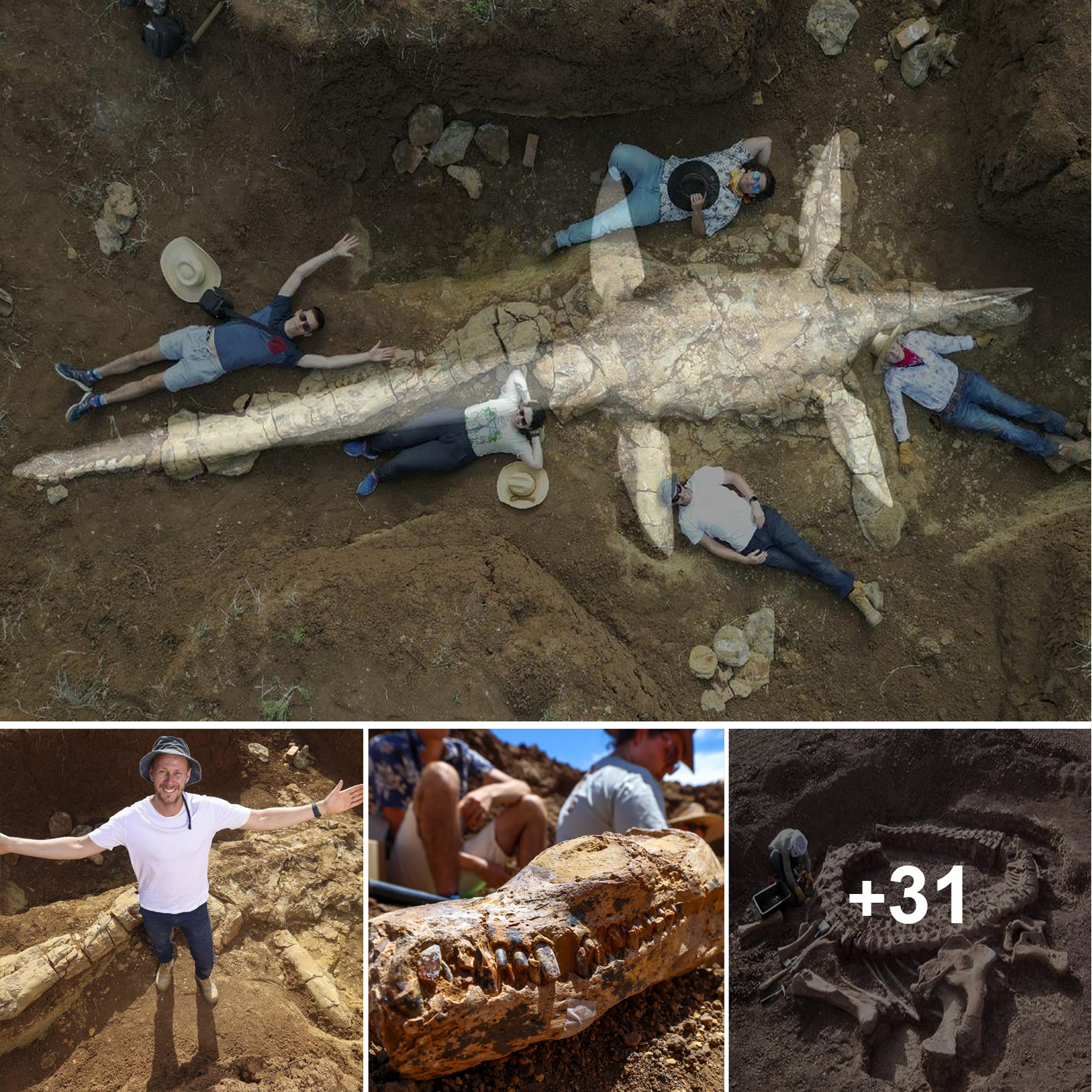 Incredible Grand Canyon Find: Fossil Hunters Unearth Ancient Ecosystem! - kqkg5tn